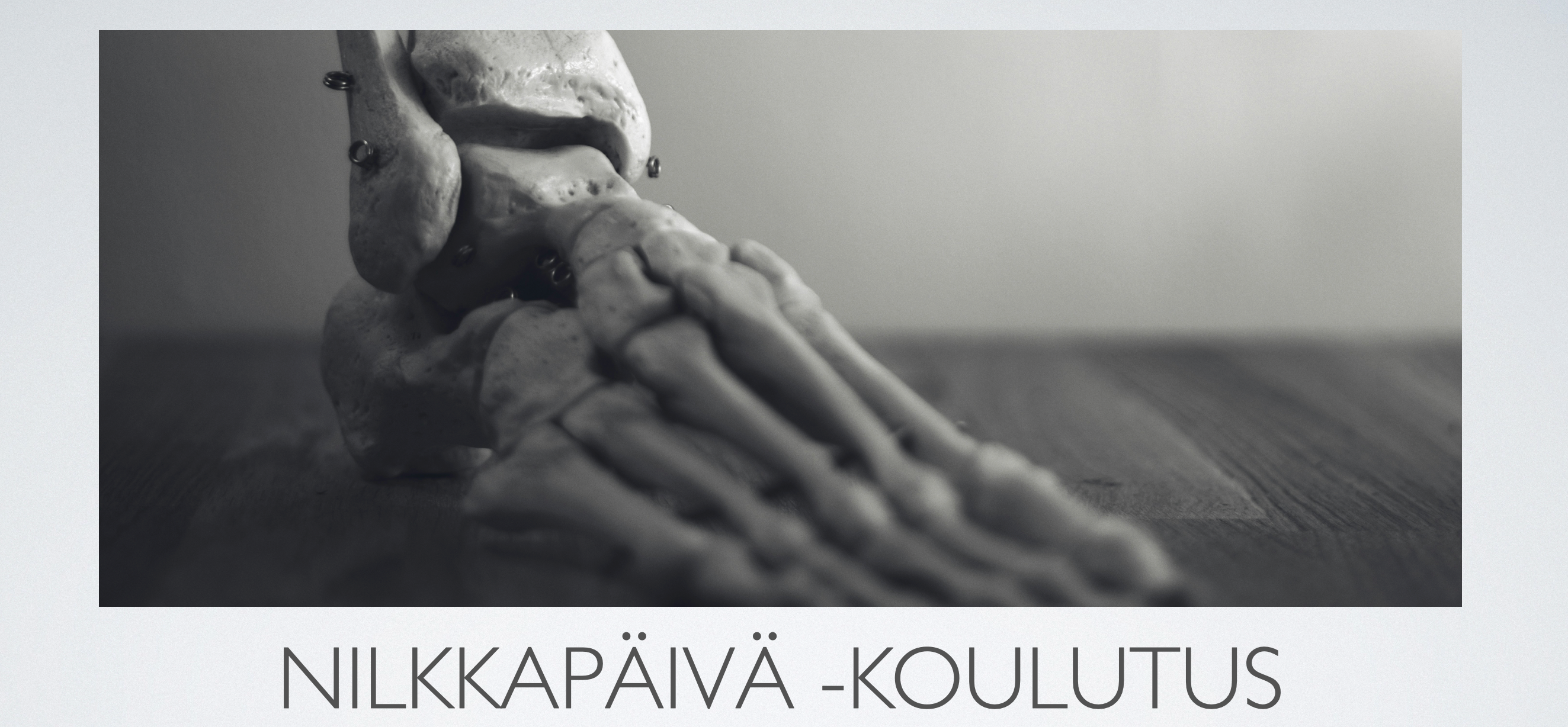 Nilkkapäivä -koulutus